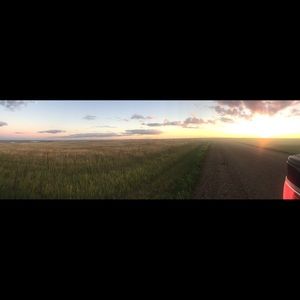 Meet your Posher, Abbey